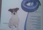 Inflatable dog collar
