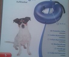 Inflatable dog collar