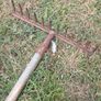 Garden rake Image 3