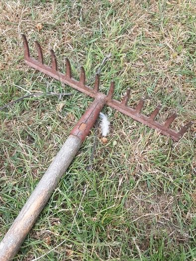Garden rake