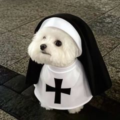 Pet Halloween Costumes