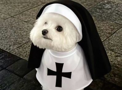 Pet Halloween Costumes