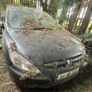 peugeot 307 breaking Image 2