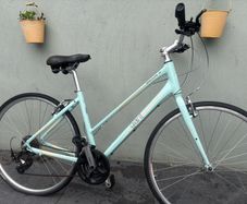 Giant Escape Ladies Bike