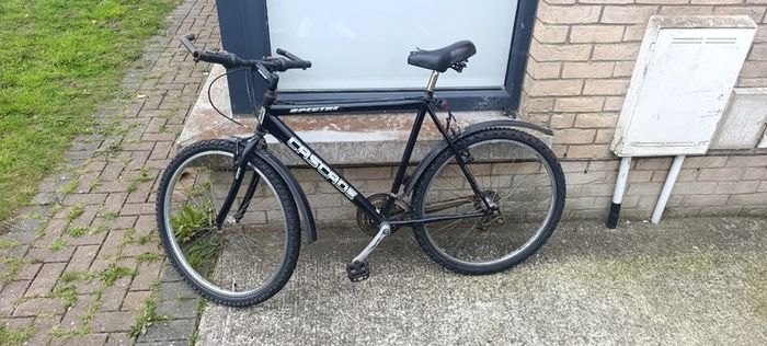 Free mens Mountain bikes x2