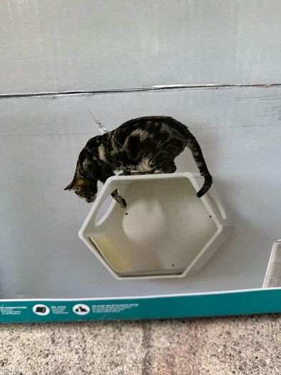 Wall mounted Cat cave - new in box