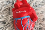 Realistic Anatomical Heart Stress Ball