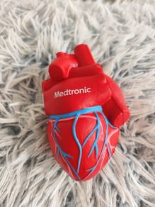 Realistic Anatomical Heart Stress Ball
