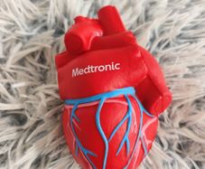 Realistic Anatomical Heart Stress Ball