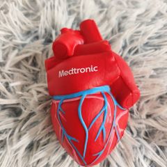 Realistic Anatomical Heart Stress Ball
