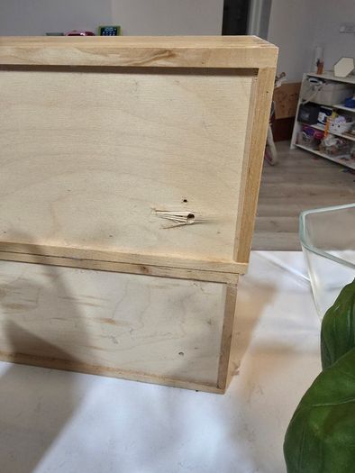 Wooden display shelf with glass jugs