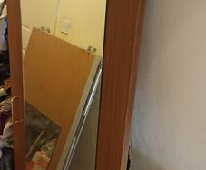 Narrow Door with Full length Mirror