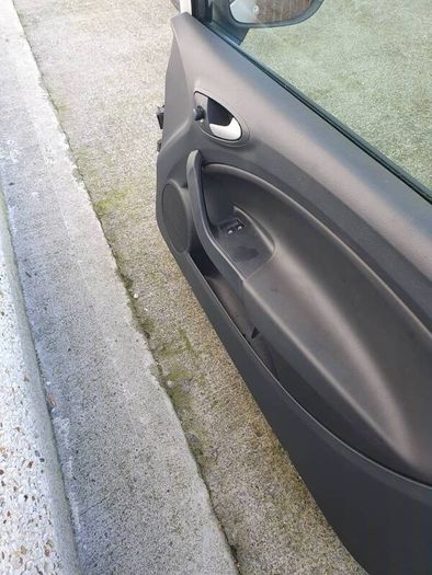 seat ibiza door