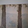 Vinyl Neil Young with Crazy Horse Image 5