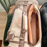 cat Image 3