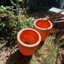 plant pots job lot Image 2