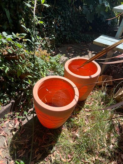 plant pots job lot