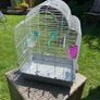 Bird Cage Image 2