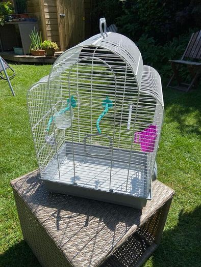 Bird Cage