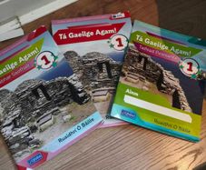 Irish first textbook with student and portfolio book