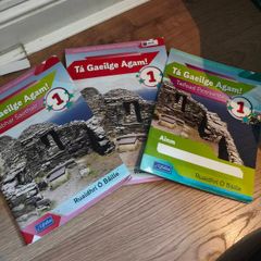 Irish first textbook with student and portfolio book