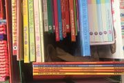 bulk books