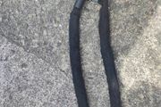 bike chain lock  with one key only