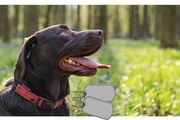 dog name tag identify name Address Phone number