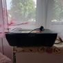 Canon Pixma MG3050 printer Image 6