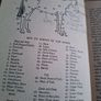 Horse riding Image 10