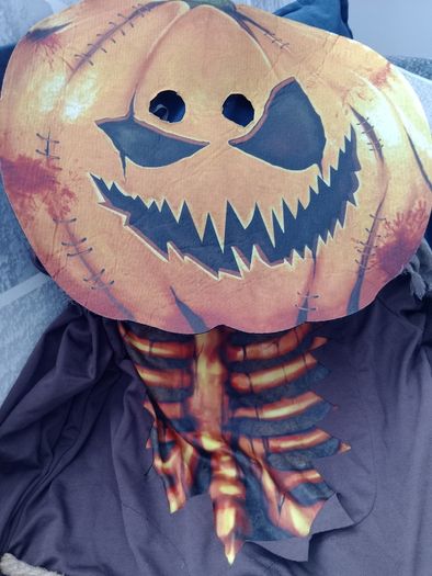 Pumpkin Costume