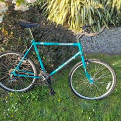 raleigh ascender