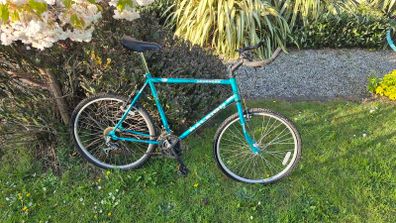 raleigh ascender