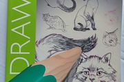 Draw 50 Cats