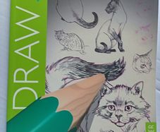 Draw 50 Cats