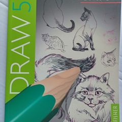 Draw 50 Cats