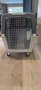 dog kennel