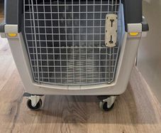 dog kennel