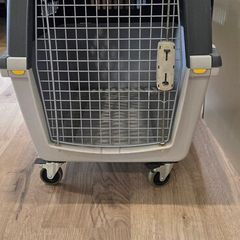 dog kennel