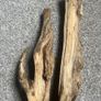 Drift Wood Image 3