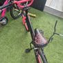 kid Image 4