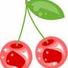 bellpoppy