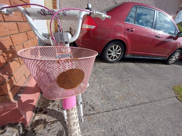 GIRLS BIKE (Sparkle) with Basket, 20 inch wheels, in excellent condition. See Pictures
