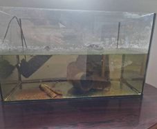 60 L aquarium