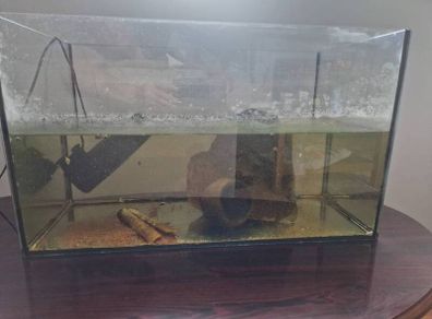 60 L aquarium