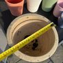 Plant pots Image 6