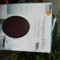 Toilet Seat