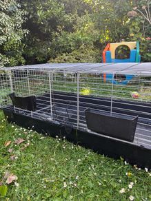Giant Guinea pig/rabbit cage