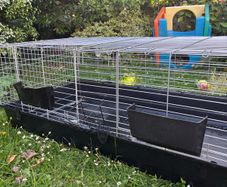 Giant Guinea pig/rabbit cage