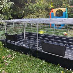 Giant Guinea pig/rabbit cage